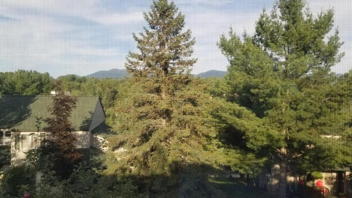 Relaxing Couples Getaway Mountain Views Villa Lake Placid Exterior photo